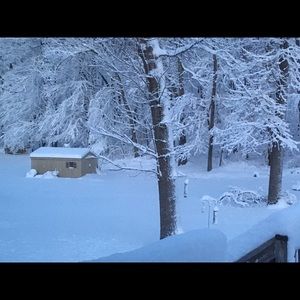 Meet your Posher, Donna